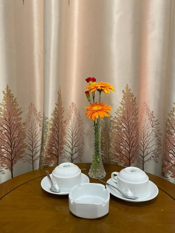 Blue-S Hotel & Apartment Da Nang